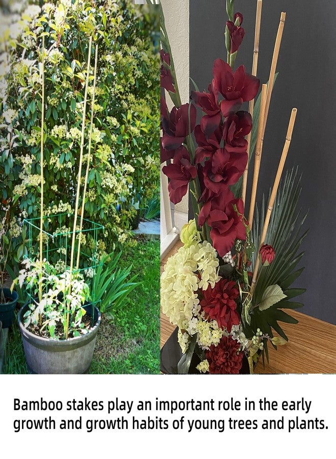Anothera 50Pcs Garden Stakes, 0.32”/16 Inch Bamboo Sticks，Natural Plant Stakes for Indoor and Outdoor Plants，Poles for Tomatoes, Beans, Potted Plants - Image 4