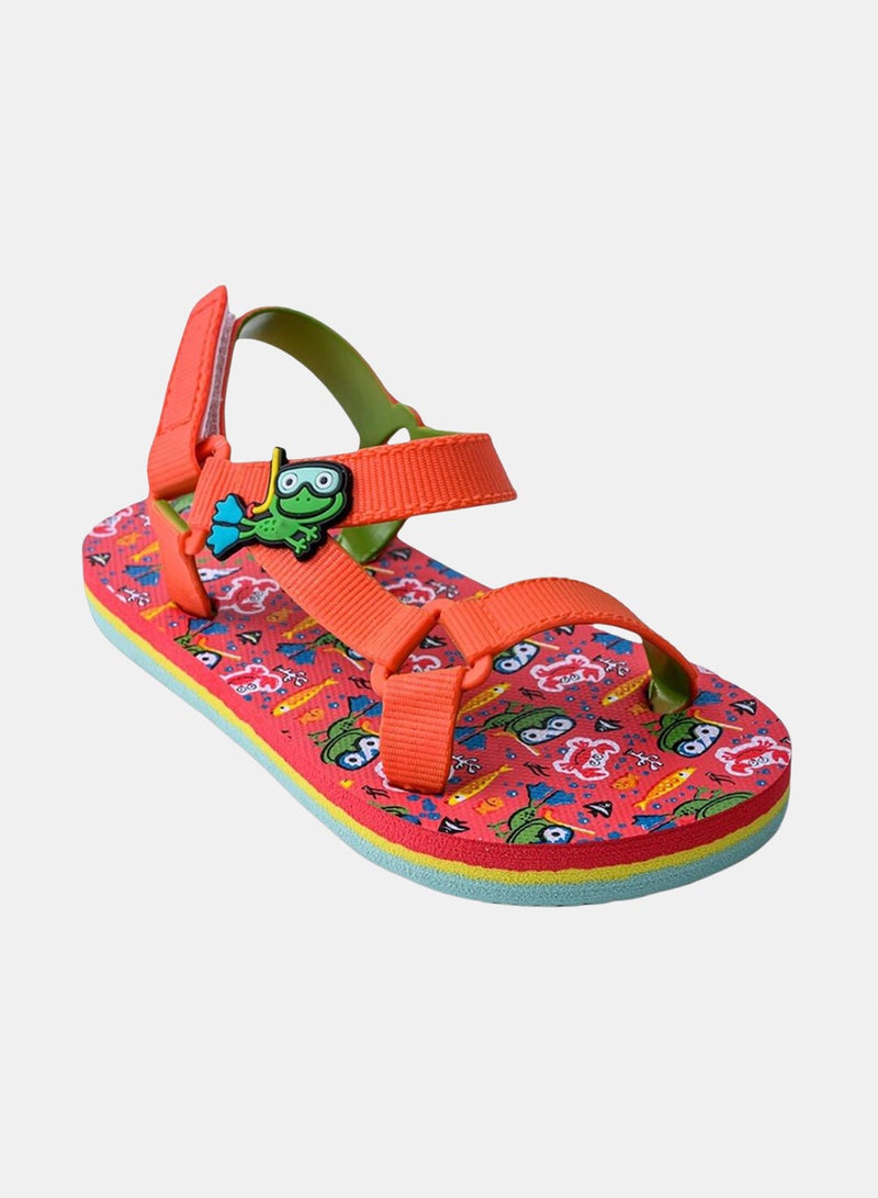 CUBS Baby Boys Rubber Sandal – Red with Frog Print - Image 3