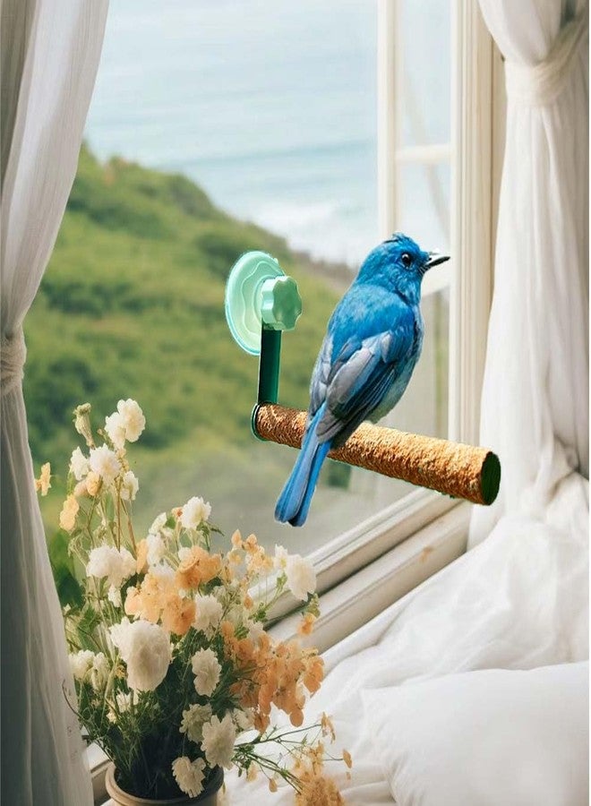 Fejapa 6 Pack Suction Cup Accessory Sets for Brid Perches Brid Stand Sticks Stand Toy Wood Platform for Parrot Parakeet Cockatiel Budgie Suction Cup for Window Bath Shower Car Travel Wall Outdoor Indoor - Image 2
