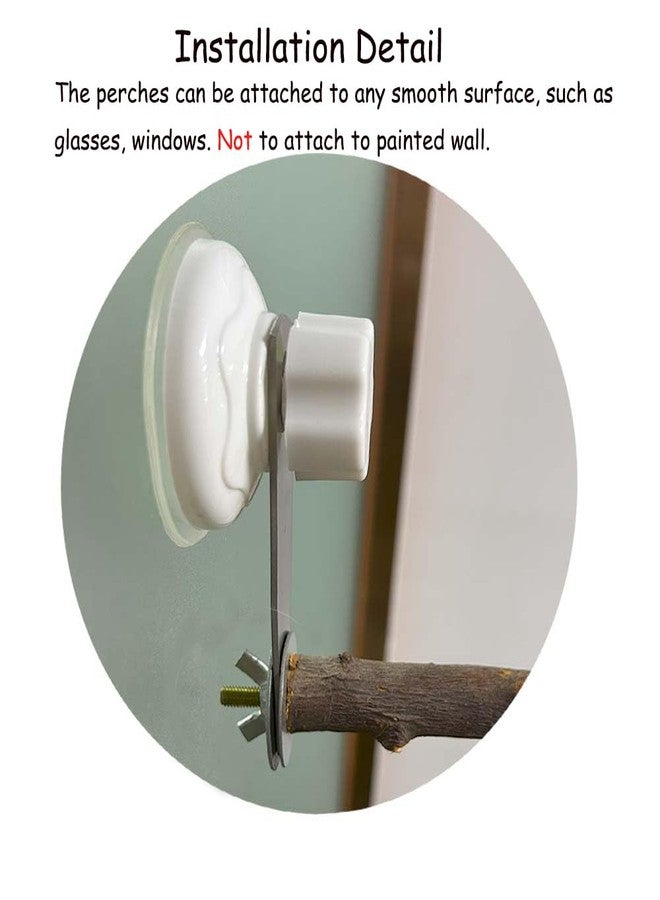 Fejapa 6 Pack Suction Cup Accessory Sets for Brid Perches Brid Stand Sticks Stand Toy Wood Platform for Parrot Parakeet Cockatiel Budgie Suction Cup for Window Bath Shower Car Travel Wall Outdoor Indoor - Image 3