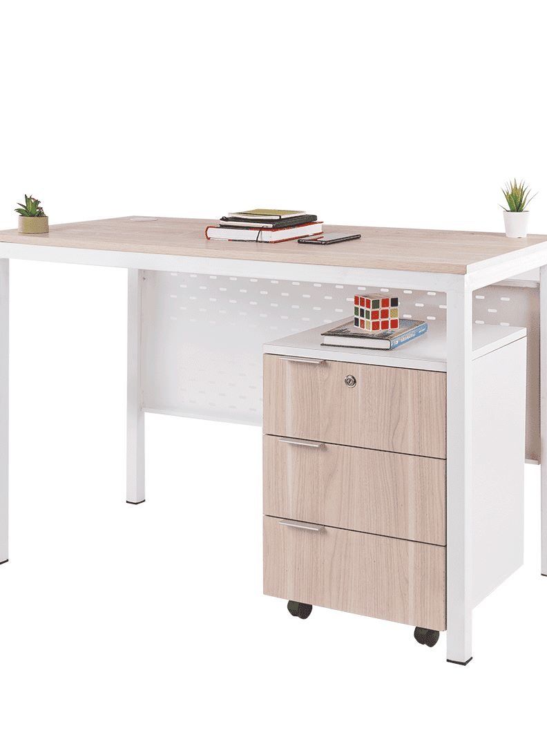 FURVIVE'S COVO Desk With Storage Unit