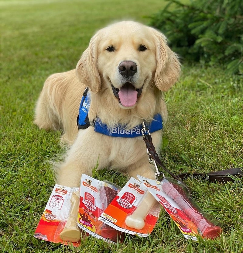 Nylabone Power Chew Flavored Durable Chew Toy for Dogs - Original Large/Giant - Image 2