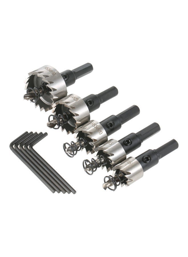 Loquat 5-Piece HSS Hole Saw With Separate Storage Case And Wrenches Set Silver 15.00X3.50X10.50cm - Image 1