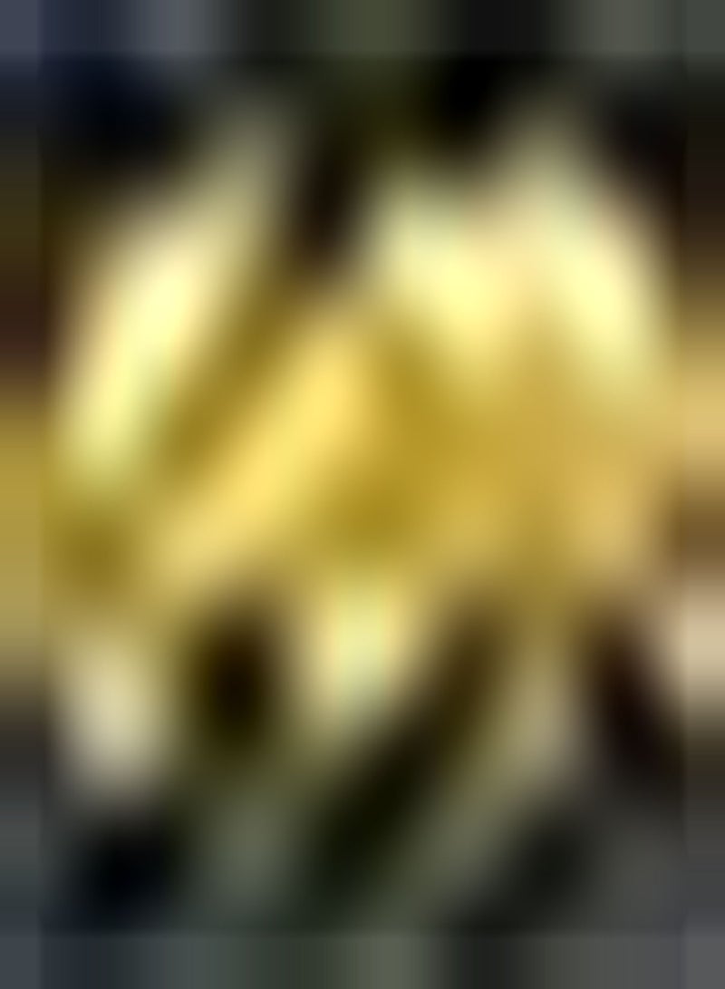 GGOOT 5pcs Mix Colour Lycoris Seeds Lycoris Radiata Indoors Good Choice for Decorating Bedroom Study Living Room Garden Flower Seeds Easy to Survival - Image 4