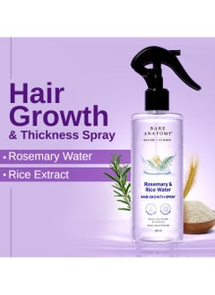 BARE ANATOMY Bare Anatomy Nature x Science Rosemary Water Spray for Hair Growth & Hair Thickness with Rice Water |100% Natural Extract | Soft & Smooth Hair| Controls Hairfall| Non-Greasy & Fast Absorbing | 200 ml  - Image 2