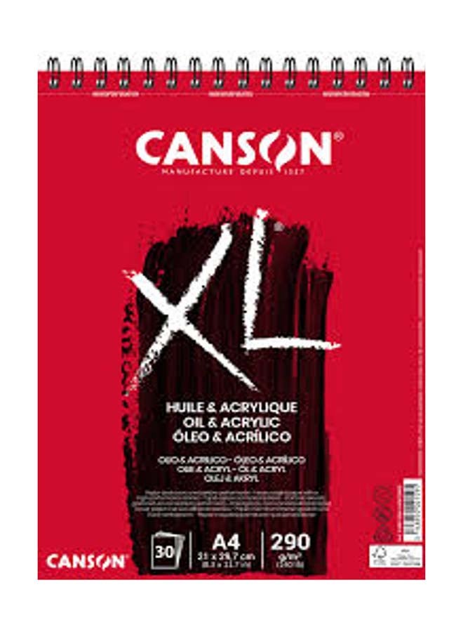 CANSON CANSON Art Book C XL Huile&Acrylique-A4-290G