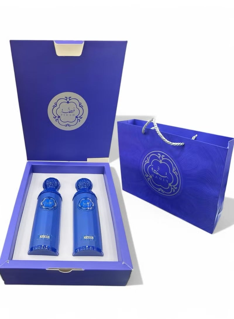 Generic Silver Blue Package, 2 Perfumes, 400ml 