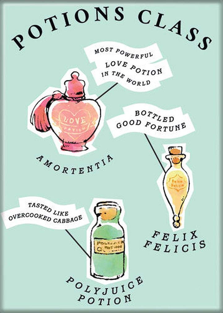 AtaBoy Harry Potter Whimsy Collection Potions Class 25 x 35 Magnet for Refrigerators and Lockers