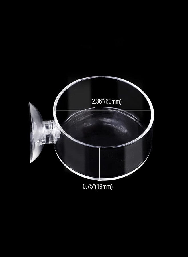 Dannisly Aquarium Glass Feeder Shrimp Feeding Dish Round Clear Fish Tank Food Tray Container Prevent Food Spilling with Suction Cup, 60mm - Image 2