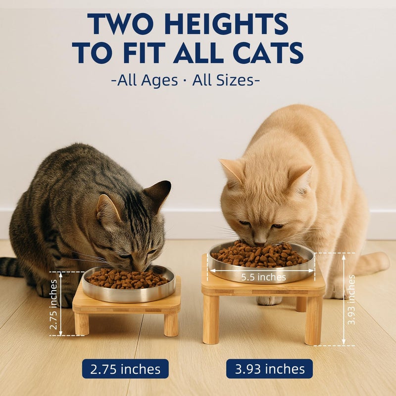 DoogCat Elevated Cat Bowls for Indoor Cats â€“ Raised Bamboo Cat Bowl Stand with 5.5 Inch Wide Stainless Steel Dishes, Pet Food Table Plate for Easy Feeding, Whisker Friendly(Silver,Set of 2) - Image 3