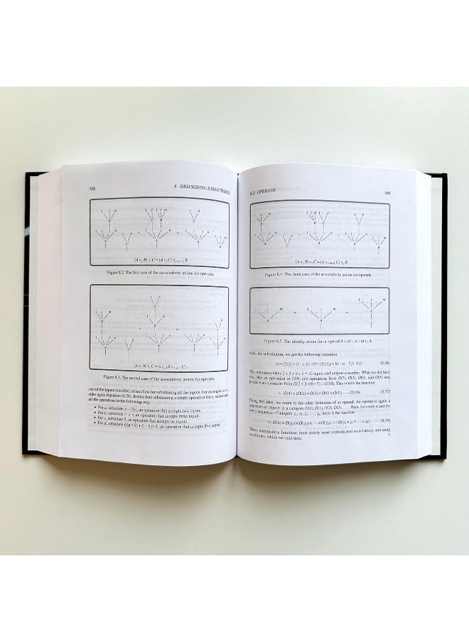null - Monoidal Category Theory: Unifying Concepts in Mathematics, Physics, and Computing - Image 1