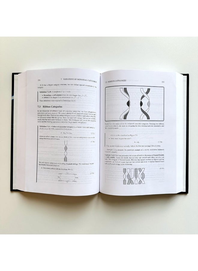 null - Monoidal Category Theory: Unifying Concepts in Mathematics, Physics, and Computing - Image 1
