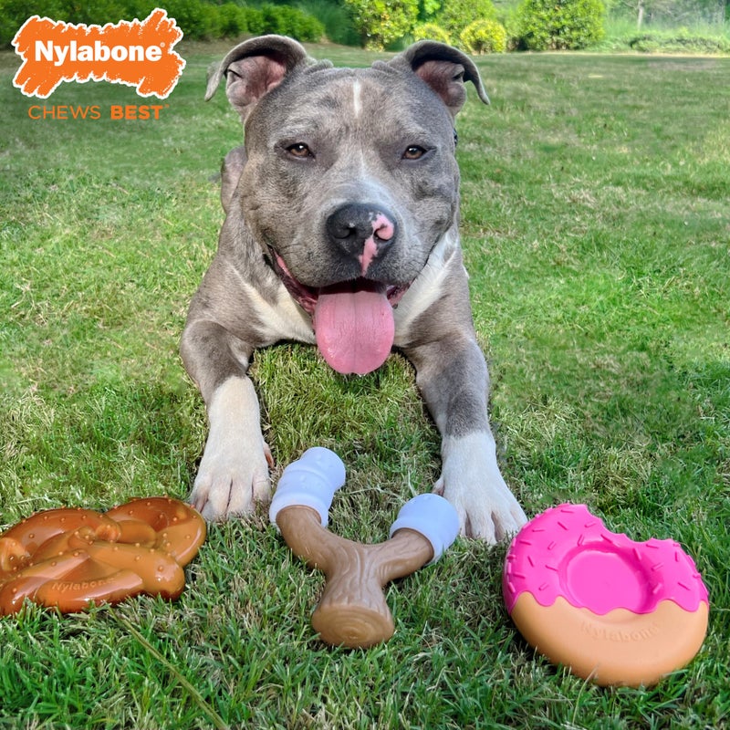Nylabone Power Chew Toy Bundle, Cute Dog Toys for Aggressive Chewers, Bacon Glazed, Toasted Marshmallow, and Peanut Butter Flavors, Large Dogs - Up to 50 lbs, 3 Pack - Image 2