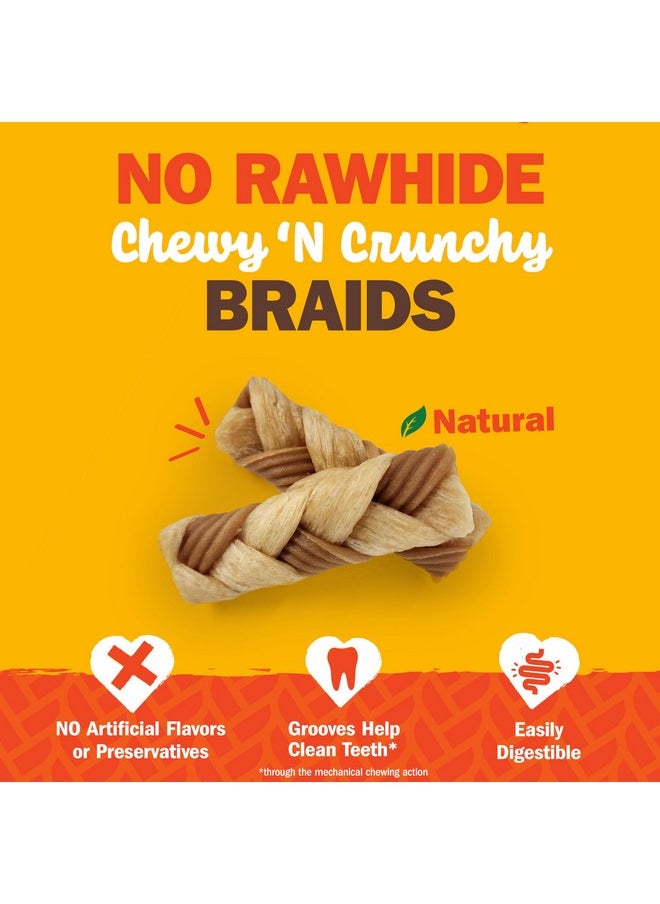 Cadet Cadet Chewalicious Chewy 'N Crunchy Braid Dog Treats, Limited Ingredient, Rawhide-Free, Long-Lasting Chews for Dogs Made with Real Chicken, 7 Count  - Image 2