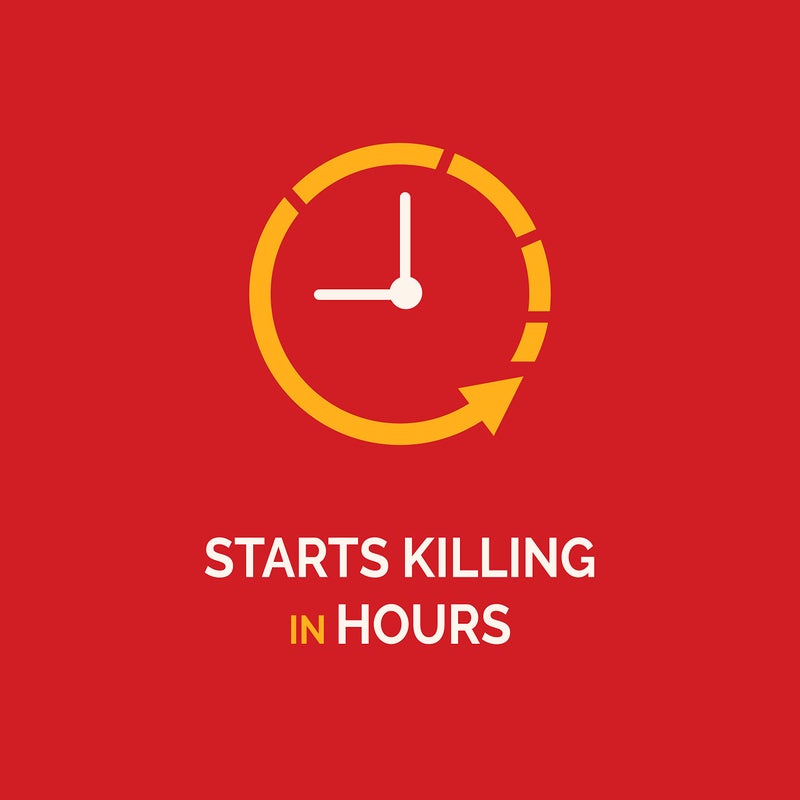 Hot Shot MaxAttrax Ant Bait 8 Count, Child-Resistant Bait Stations, 6 Pack - Image 4