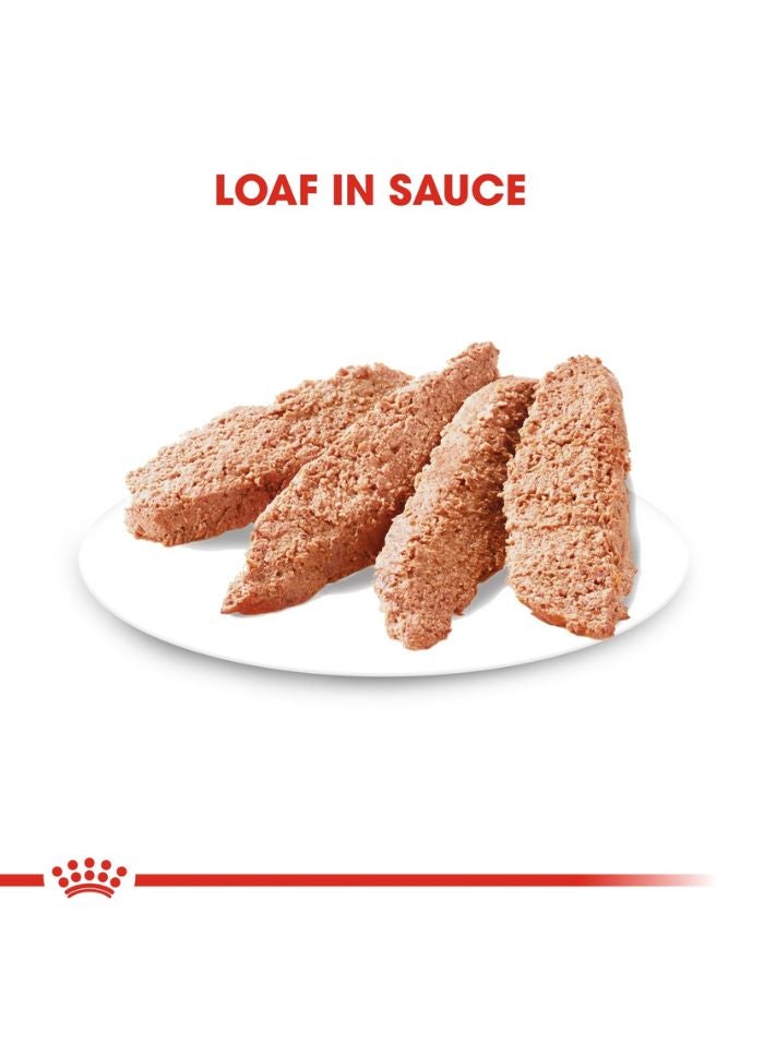 ROYAL CANIN Canine Care Nutrition Coat Care (WET FOOD - Pouches) 12 x 85g - Image 2