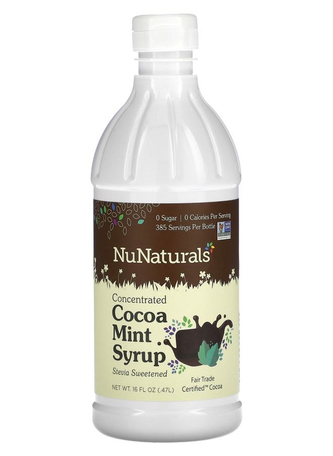 Concentrated Cocoa Mint Syrup 16 fl oz (0.47 l) - pzsku/Z9AE4313F4562A3CAF425Z/45/_/1740571610/489f8a71-721f-459d-beda-3a694f28bd0f