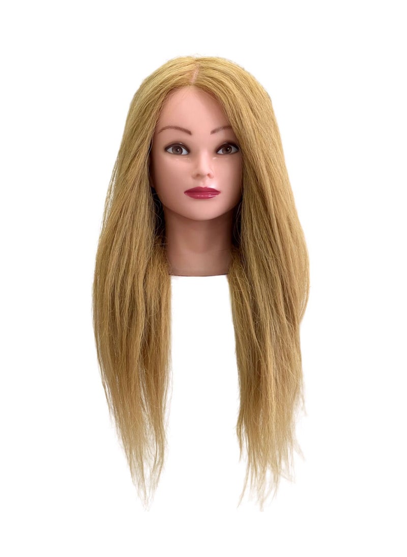 globalstar Globalstar Mannequin Training Head With 100% 24 inches Human Hair Blonde Color HJ-102  - Image 2