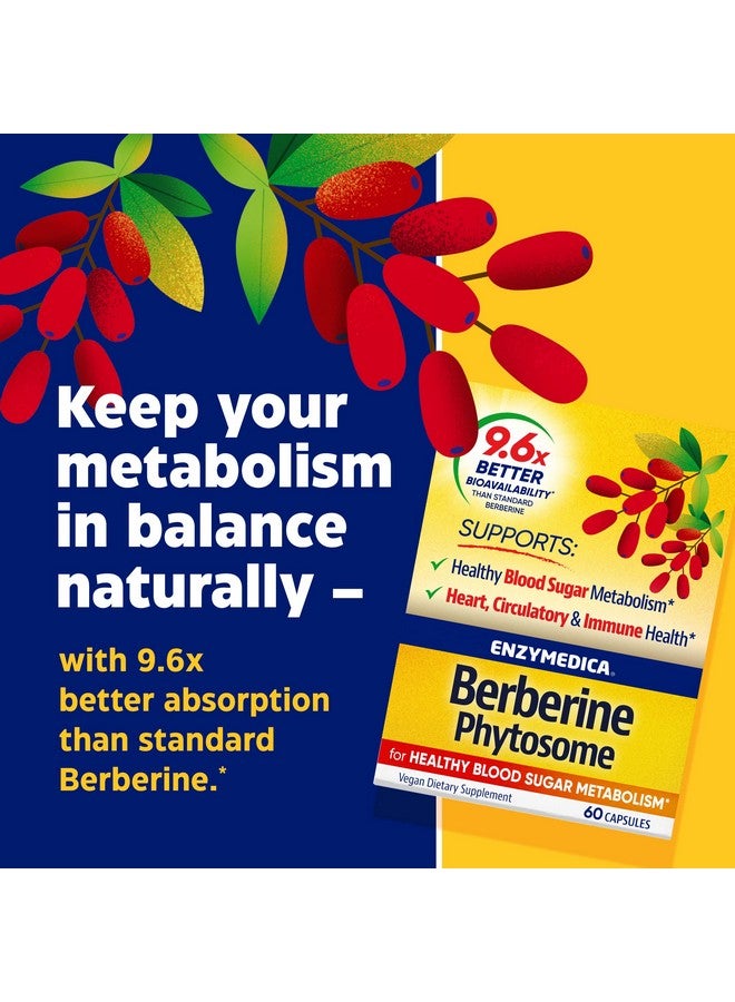Enzymedica, Berberine Phytosome - Image 3