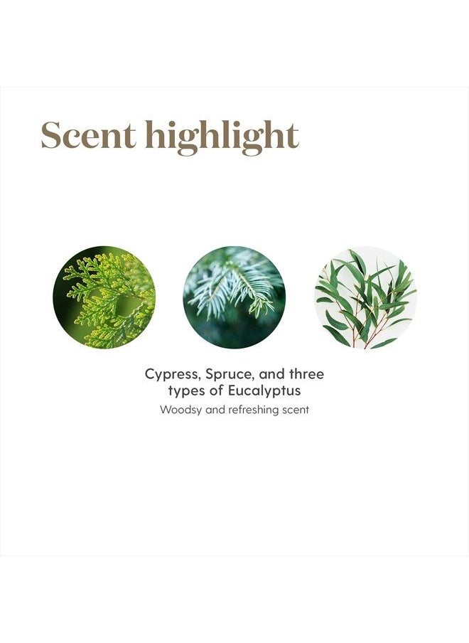 Young Living - R.C. Essential Oil Blend 15ml - A Powerful Combination of Cypress, Spruce, Eucalyptus, Myrtle, Pine, and More for a Refreshing and Uplifting Aroma - Image 1