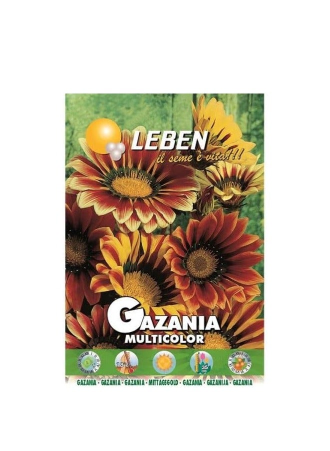 بذور غازانيا متعددة الألوان عالية الجودة من ليبن