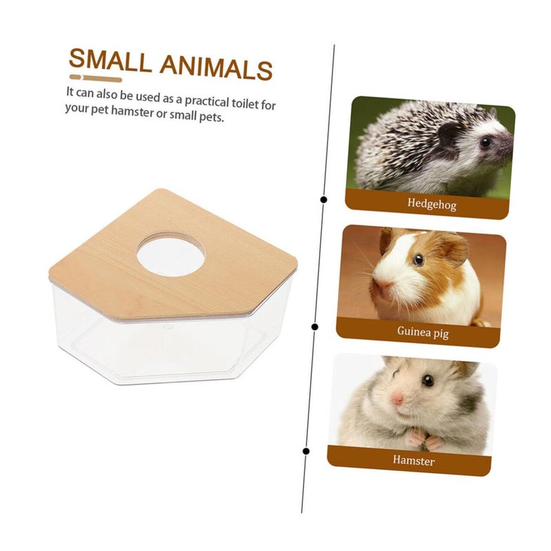 Large Sand Bath House for Gerbil Chinchilla and Hamster - Image 5