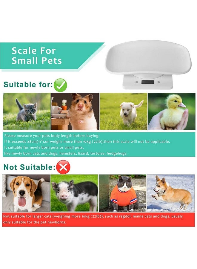 Qulable Digital Small Animals Scales for Weighing with Tape Measure, Puppy Whelping Scale Weigh Your Kitten, Rabbit with High Precision, Multifunction Electronic Baby Scales for Small Dogs Cats Crawl Pet - Image 1