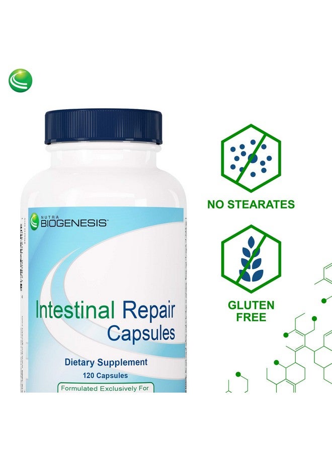 Nutra Biogenesis Intestinal Repair Capsules - Herbal Gut Health Supplement for Women & Men with Sodium Butyrate, Daily - 120 Capsules - Image 4