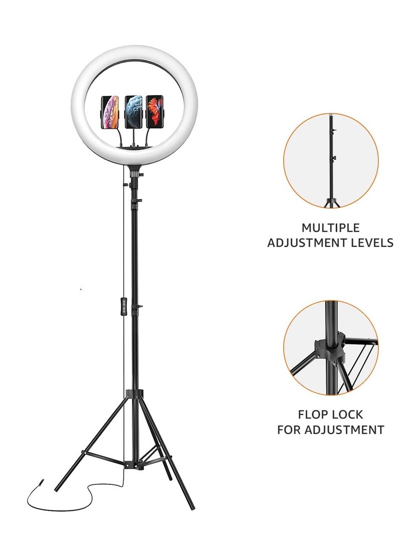 DUSALA LED Ring Light (14-inch) with Tripod Stand & Mini Tripod, and Dual Temperature Modes - Image 4