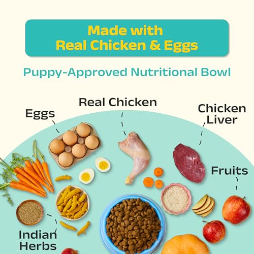 Good Dog Puppy Dry Dog Food | Oven Baked | Fresh Chicken & Eggs | 1 kg | Palatable Meal for Healthy Growth, Strong Bones, Immunity & Digestion | Nutritionally Crafted | Puppy Food for All Breeds - Image 4