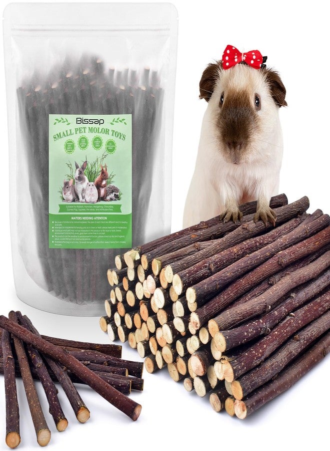Bissap Apple Sticks for Rabbits, Natural Bunny Chew Toys and Treats for Chinchilla Guinea Pig Hamster Gerbil Small Animals Pet Apple Wood Stick Toys Teeth Grinding (460g/1lb) - Image 1