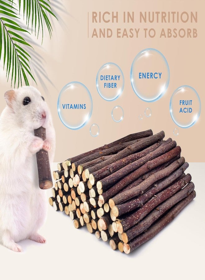 Bissap Apple Sticks for Rabbits, Natural Bunny Chew Toys and Treats for Chinchilla Guinea Pig Hamster Gerbil Small Animals Pet Apple Wood Stick Toys Teeth Grinding (460g/1lb) - Image 2