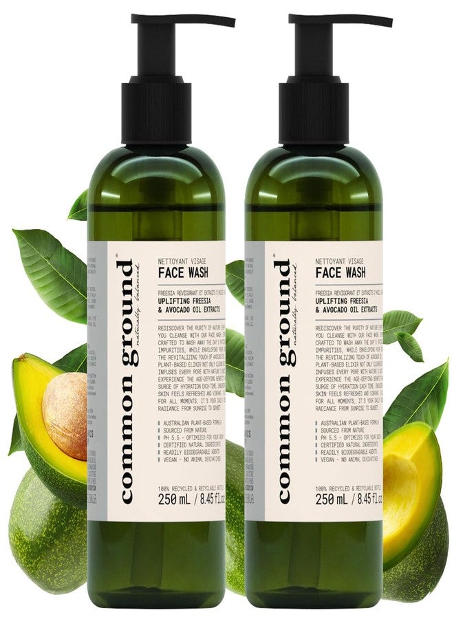COMMON GROUND All Natural Face Cleanser Wash, Paraben & Cruelty Free, Normal, Oily, Dry, Sensitive, Organic, Vegan, Plant-Based, pH 5.5, Avocado Oil, Men, Women, 8.4 Fl Oz (2 Pack) - Image 1