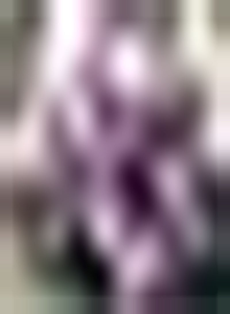 جي جوت 10 قطع روز أوكساليس بولين رويكت فيرس زرع في بيتن تريك bijenvlinder aan laat uw huis vol leven zijn voeg color toe aan de tuin - Image 3