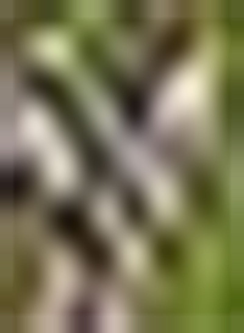 جي جوت 10 قطع روز أوكساليس بولين رويكت فيرس زرع في بيتن تريك bijenvlinder aan laat uw huis vol leven zijn voeg color toe aan de tuin - Image 2