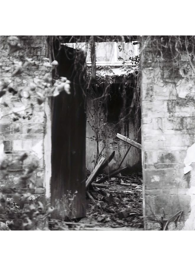 Two Rolls Of 135 Black And White Film 12 Exposures Per Roll Fool Camera - Image 5