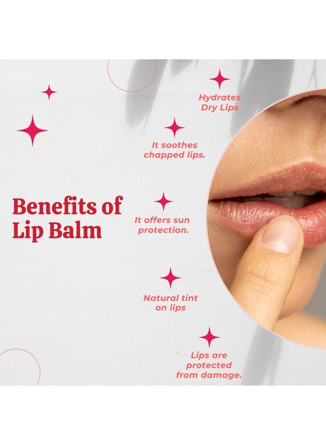 SCIIAN Rose Lip Balm for Naturally Glowing and Hydrated Lips 10 gm | Moisturizing Lip Balm | Lip Balm for Dry Lips | Lip Balm for Women | Lip Balm for Dark Lips to Lighten | Lip Balm with spf | Pack of 5 - Image 3