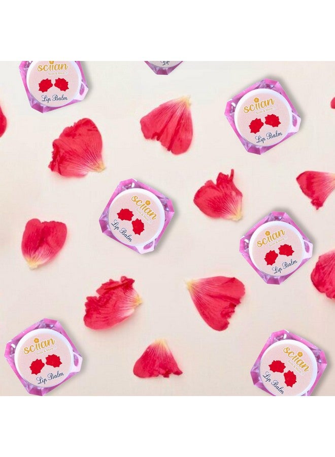 SCIIAN Rose Lip Balm for Naturally Glowing and Hydrated Lips 10 gm | Moisturizing Lip Balm | Lip Balm for Dry Lips | Lip Balm for Women | Lip Balm for Dark Lips to Lighten | Lip Balm with spf | Pack of 5 - Image 4