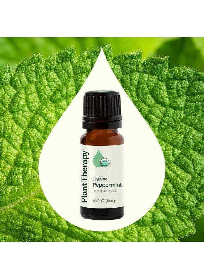 Plant Therapy Organic Peppermint Essential Oil 100% Pure, USDA Certified Organic, Undiluted, Natural Aromatherapy, for Diffuser, Skin, Hair, Therapeutic Grade 10 mL (1/3 oz) - Image 2