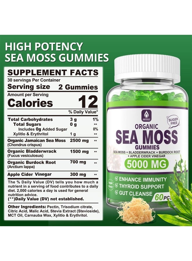 EnvyDeal جومي سكر خالي من الطحالب البحرية 5000 ملغ، طحالب جامايكية مع جذر الأرقطيون، بلادرواك، غنية بالمعادن والفيتامينات، مكمل طحالب بحرية عضوي لدعم الجهاز المناعي، دعم الغدة الدرقية، تطهير الأمعاء، نباتي 60 حبة - Image 1
