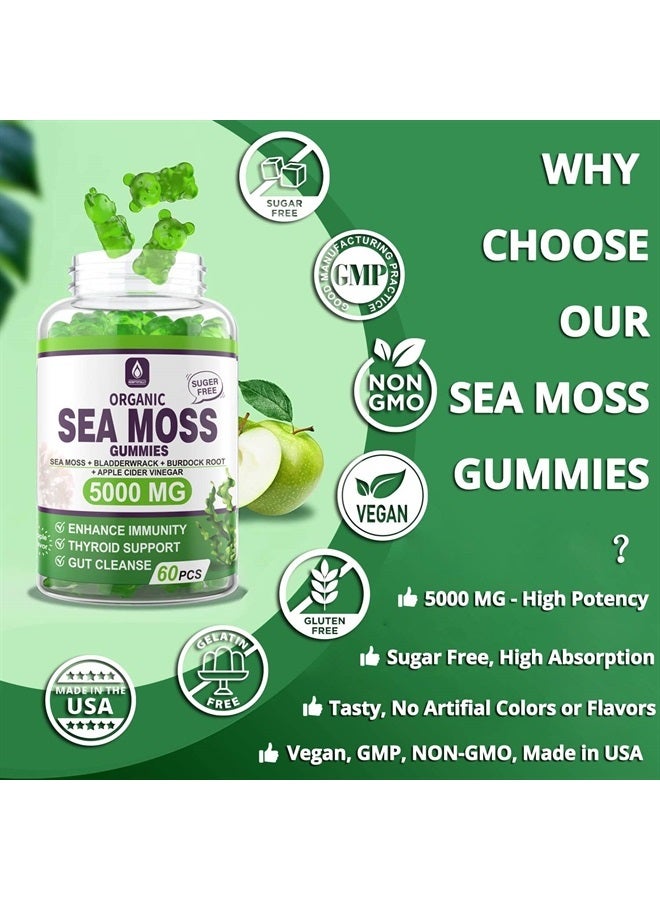 EnvyDeal جومي سكر خالي من الطحالب البحرية 5000 ملغ، طحالب جامايكية مع جذر الأرقطيون، بلادرواك، غنية بالمعادن والفيتامينات، مكمل طحالب بحرية عضوي لدعم الجهاز المناعي، دعم الغدة الدرقية، تطهير الأمعاء، نباتي 60 حبة - Image 4