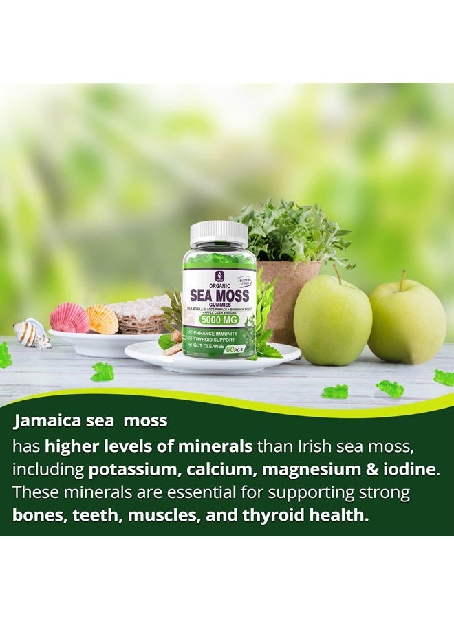 EnvyDeal جومي سكر خالي من الطحالب البحرية 5000 ملغ، طحالب جامايكية مع جذر الأرقطيون، بلادرواك، غنية بالمعادن والفيتامينات، مكمل طحالب بحرية عضوي لدعم الجهاز المناعي، دعم الغدة الدرقية، تطهير الأمعاء، نباتي 60 حبة - Image 3