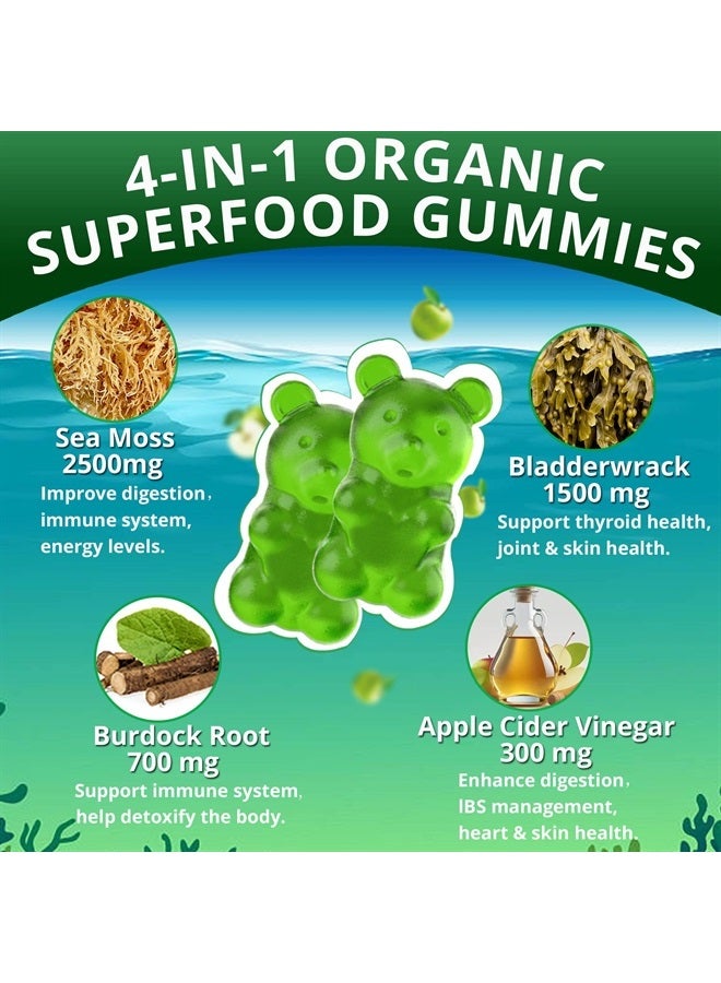 EnvyDeal جومي سكر خالي من الطحالب البحرية 5000 ملغ، طحالب جامايكية مع جذر الأرقطيون، بلادرواك، غنية بالمعادن والفيتامينات، مكمل طحالب بحرية عضوي لدعم الجهاز المناعي، دعم الغدة الدرقية، تطهير الأمعاء، نباتي 60 حبة - Image 2