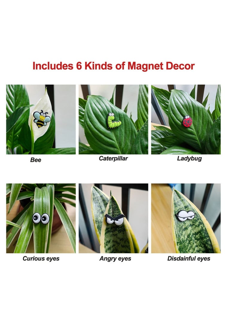 كابتن تيك Plant Magnets Eyes for Potted Plants, 6 Pcs Plant Safe Magnet Pins Charms, Indoor Plant Accessories, Unique Gifts for Plant Lovers KSA | Riyadh, Jeddah< - Image 4