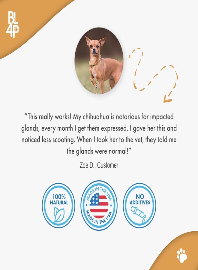 بولاردوك مجرفة ومجرفة بولاردك لفضلات الدجاج: مجرفة متينة من الفولاذ المقاوم للصدأ، مزودة بغربال رملي ومقبض قابل للتعديل لتنظيف حظائر الدجاج وفضلات الحيوانات الأليفة (22-41 بوصة) | مستلزمات الدجاج - Image 2