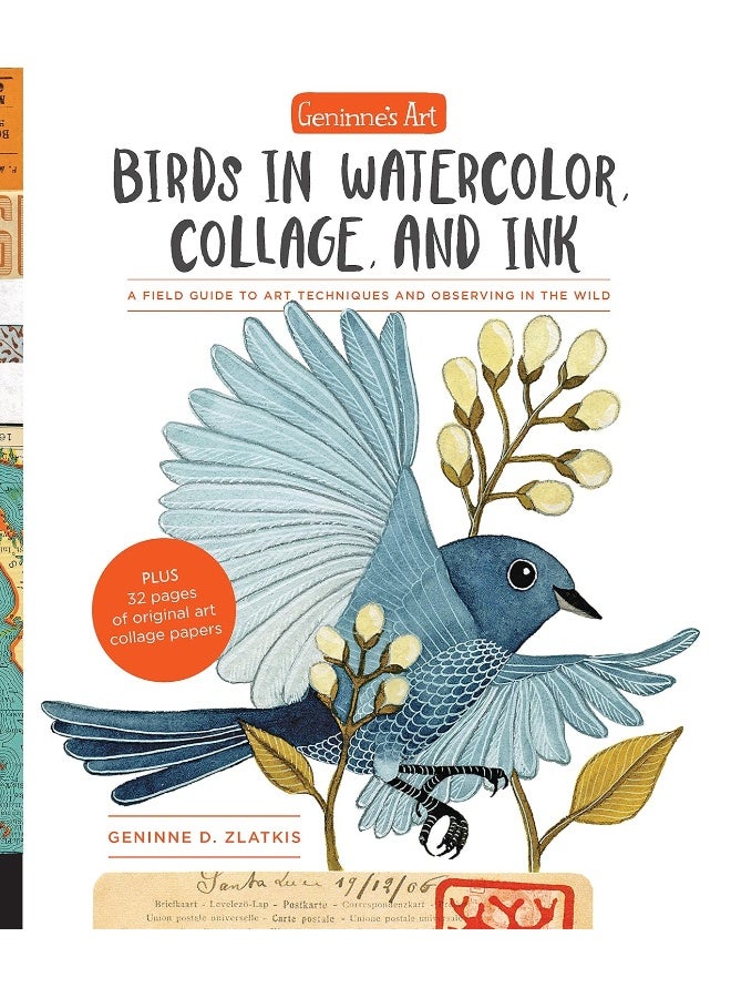 Geninne's Art: Birds in Watercolor, Collage, and Ink: A field guide to art techniques and observing in the wild 
