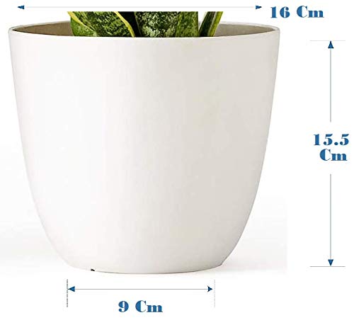 Alexvyan Imported 17 Cm Long Plastic (100% Virgin Plastic) Fashionable Fade Free Flower Plant Pot for Garden Balcony Terrace-Length 17 Cm Top 17 Cm Bottom 10 Cm (10 Pcs - White Flower Pot) - Image 3