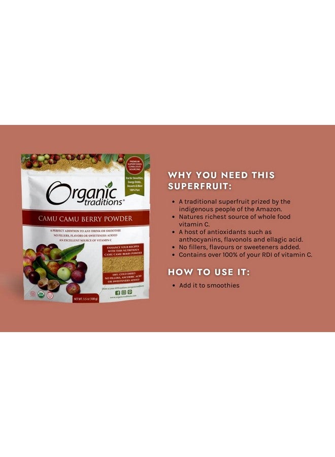 أورجانيك تراديشنز مسحوق توت كامو كامو العضوي الفائق الغذاء رائع للعصائر وأكثر من ذلك، كيس 100 جرام/3.5 أونصة - Image 3