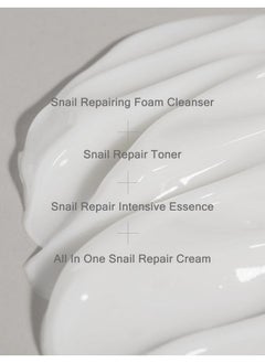 ميزون مجموعة MIZON Snail Line، مجموعة العناية بالبشرة الأساسية بالحلزون الكوري، منظف رغوي صغير الحجم بالحلزون، تونر، خلاصة، وكريم وجه الكل في واحد لتحسين لون البشرة، والتجاعيد الدقيقة، وتنعيمها، وترطيبها.  - Image 5