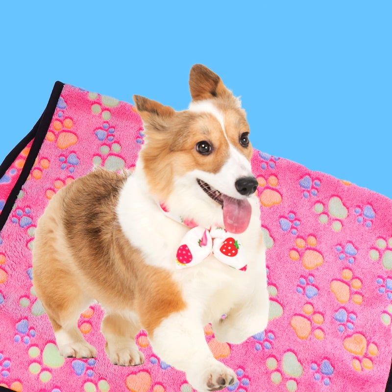 2 pcs Pet Carpet Coral Small Printed Pet Dog Blanket Cushion Sleep Mat (60x40cm, Random Hemming Color) - Image 5